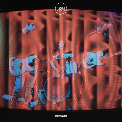 Husky Loops - Dead